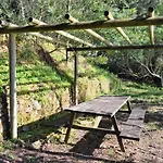 Hébergement de vacances Quinta Do Chaparrinho